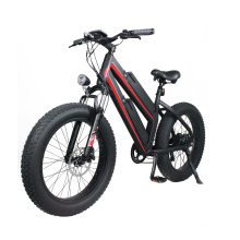 Hot sale 48V/750W Rear Hub Motor electric mountain bike bicycle